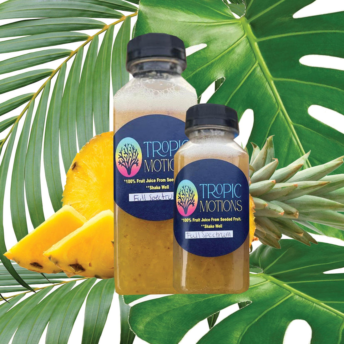 Discover the Benefits of Refreshing Sea Moss Juice