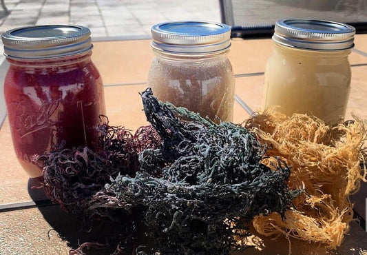 Jar of SeaMoss Gel